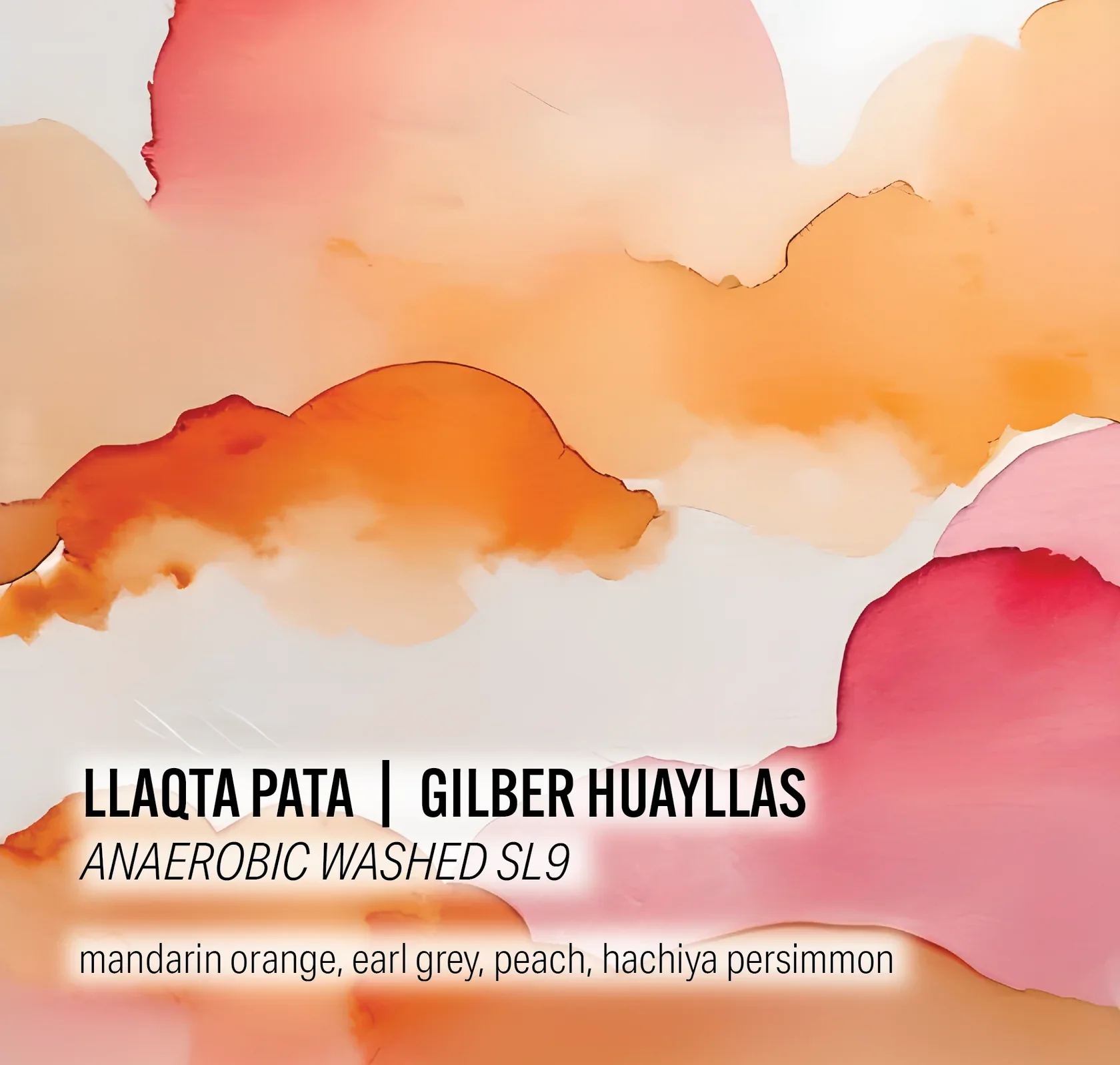 Moonwake - Gilber Huayllas Llaqta Pata - Anaerobic Washed SL9 - Peru