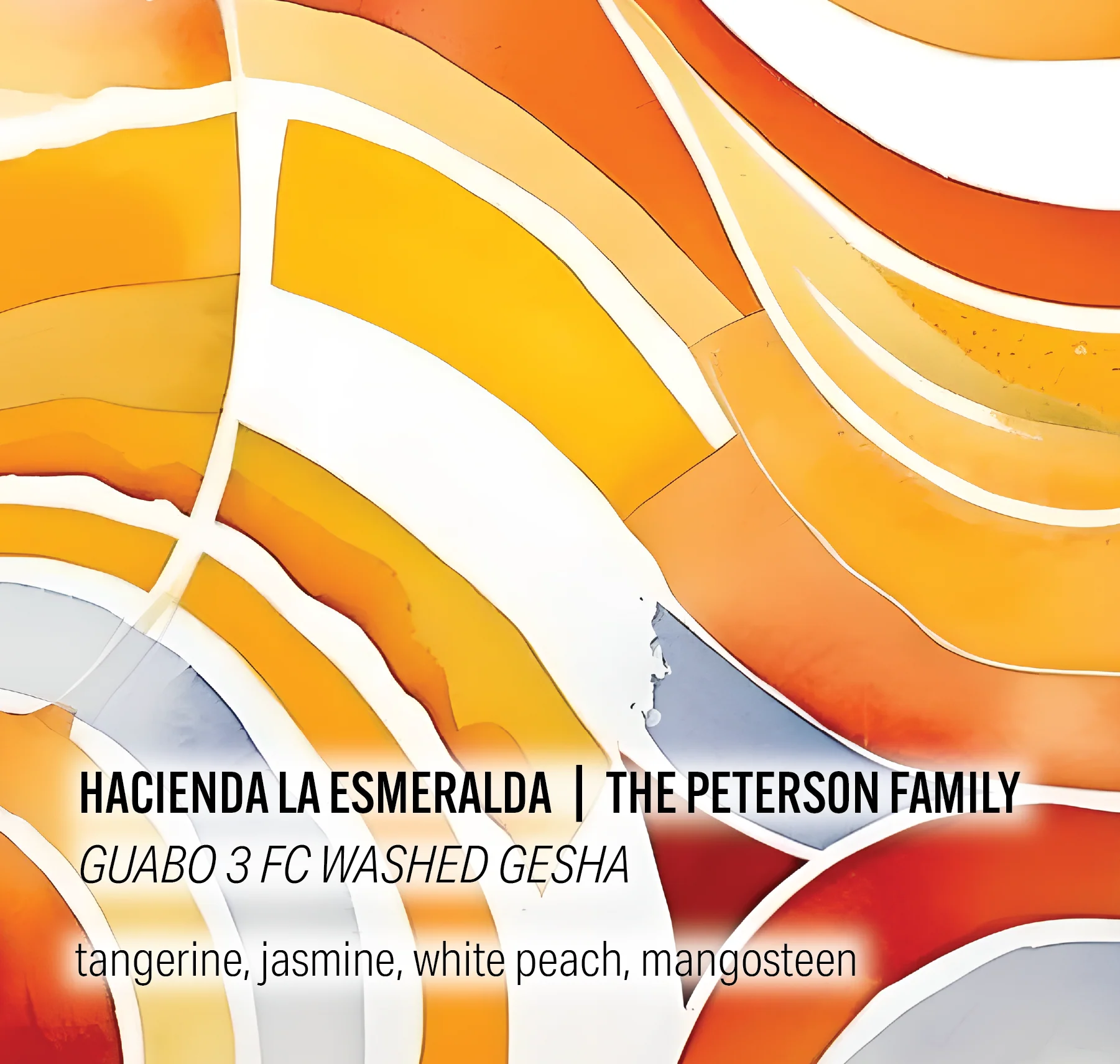 Moonwake Coffee Roasters - Hacienda La Esmeralda - Guabo 3 FC Washed Gesha | Panama