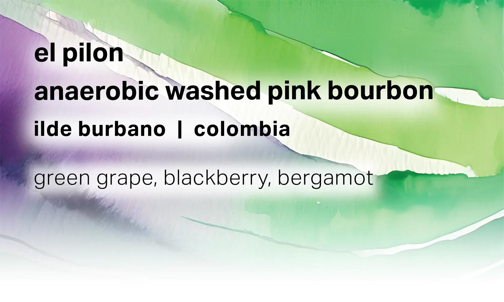 Moonwake - Ilde Burbano El Pilon - Anaerobic Washed Pink Bourbon - Colombia