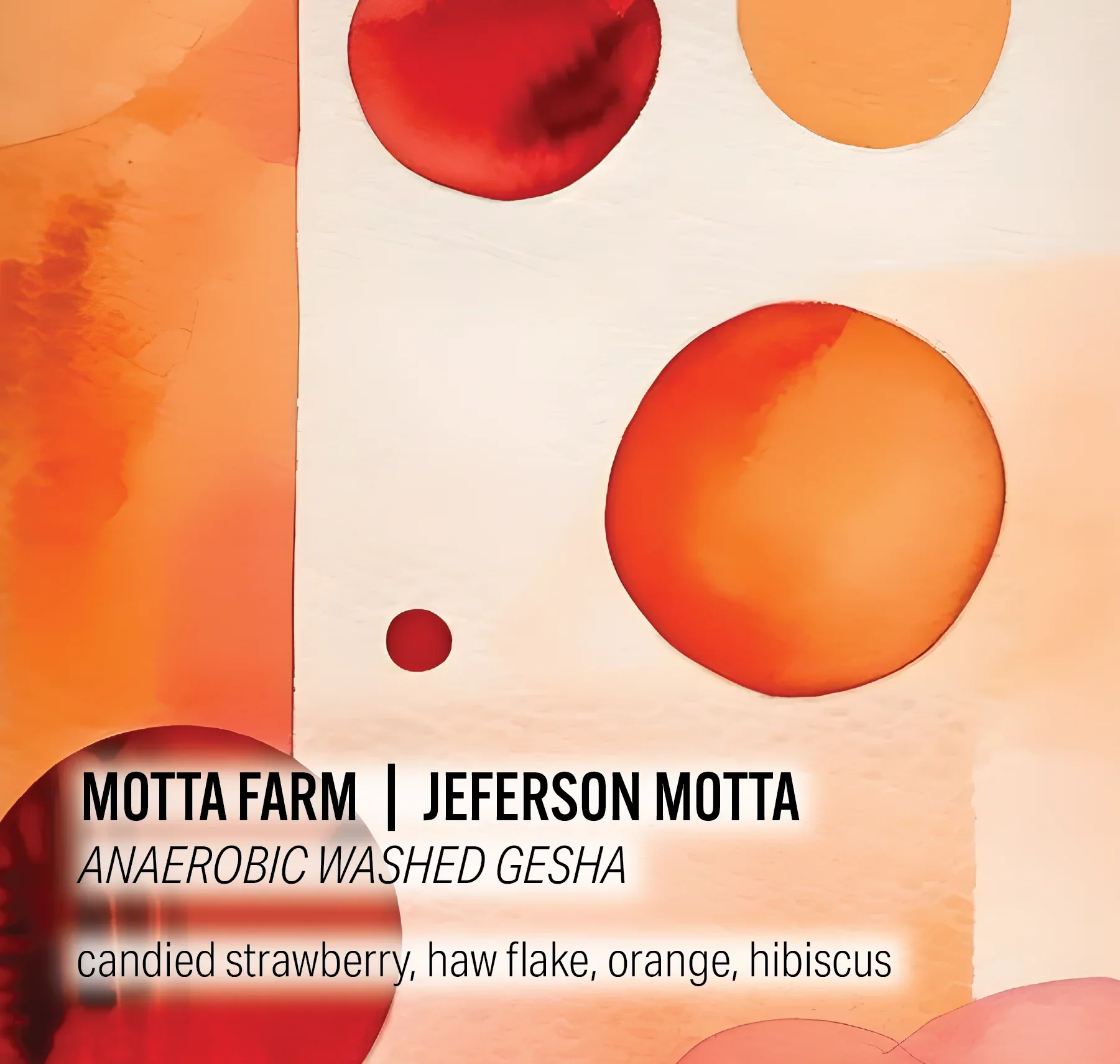 Moonwake - Jeferson Motta Motta Farm - Anaerobic Washed Gesha | Colombia