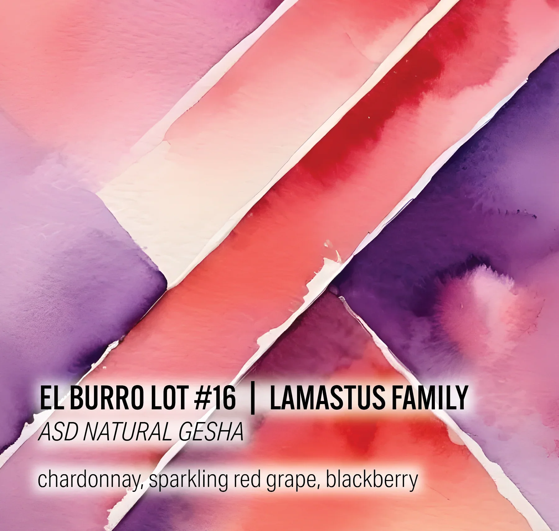 Moonwake - Lamastus Family El Burro Lot #16- ASD Natural Gesha | Panama
