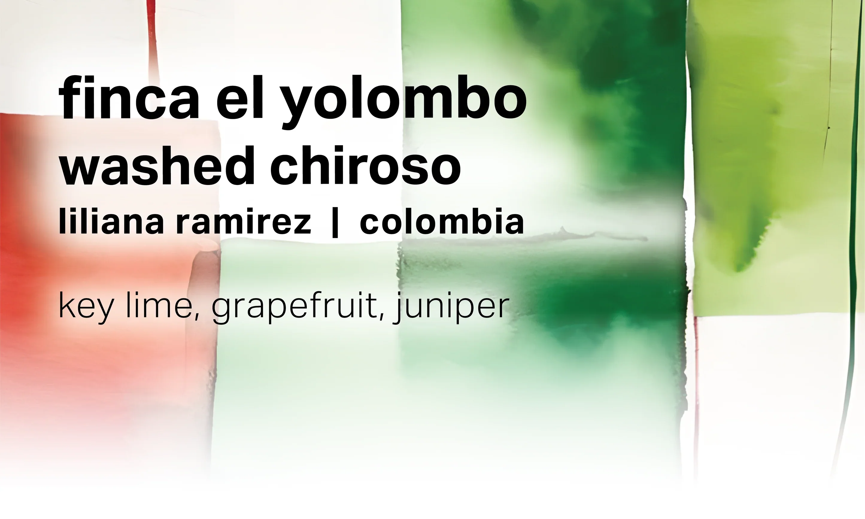 Moonwake - Liliana Ramirez Finca El Yolombo - Washed Chiroso | Colombia