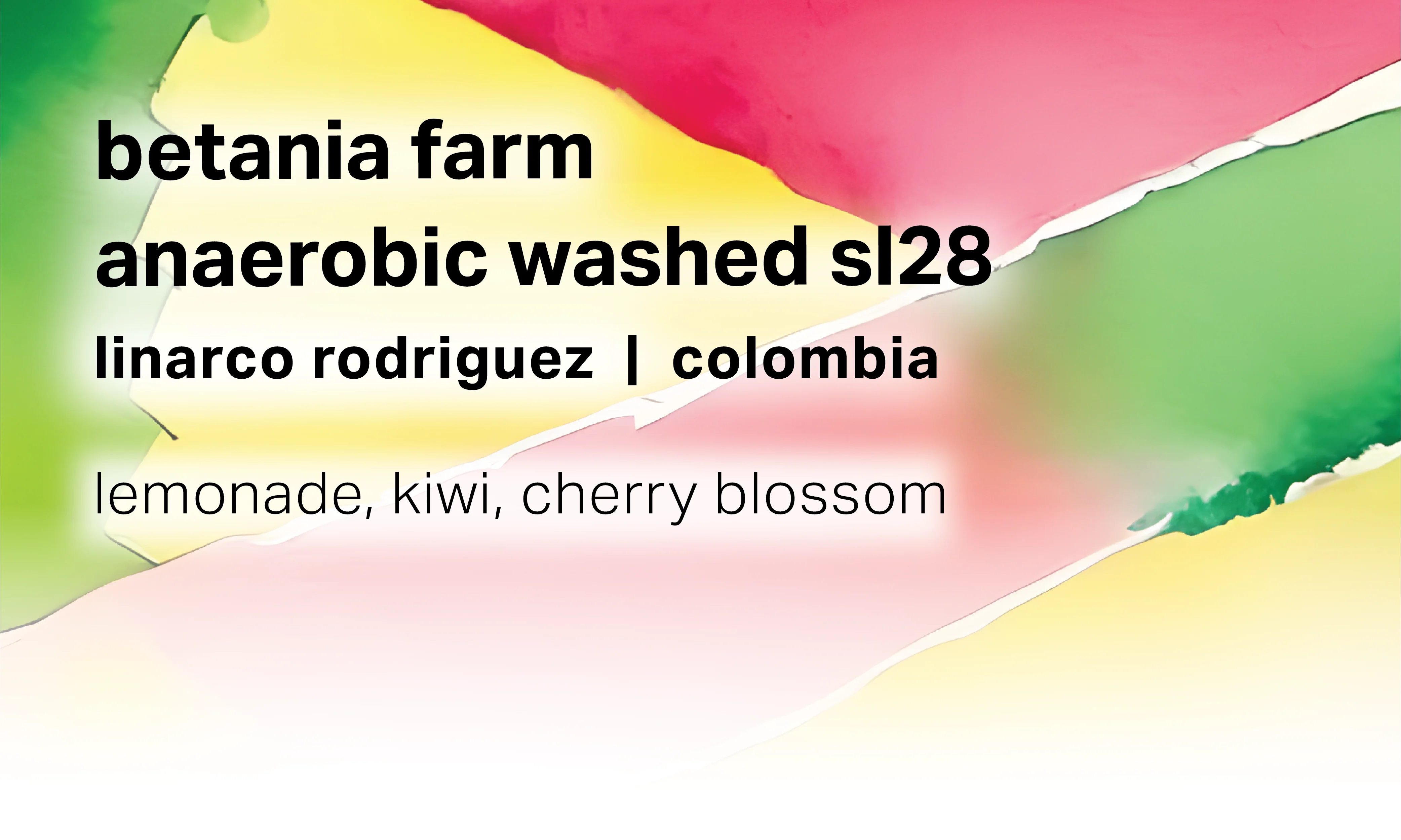 Moonwake Coffee Roasters - Linarco Rodriguez Finca Betania - Anaerobic Washed SL28 | Colombia
