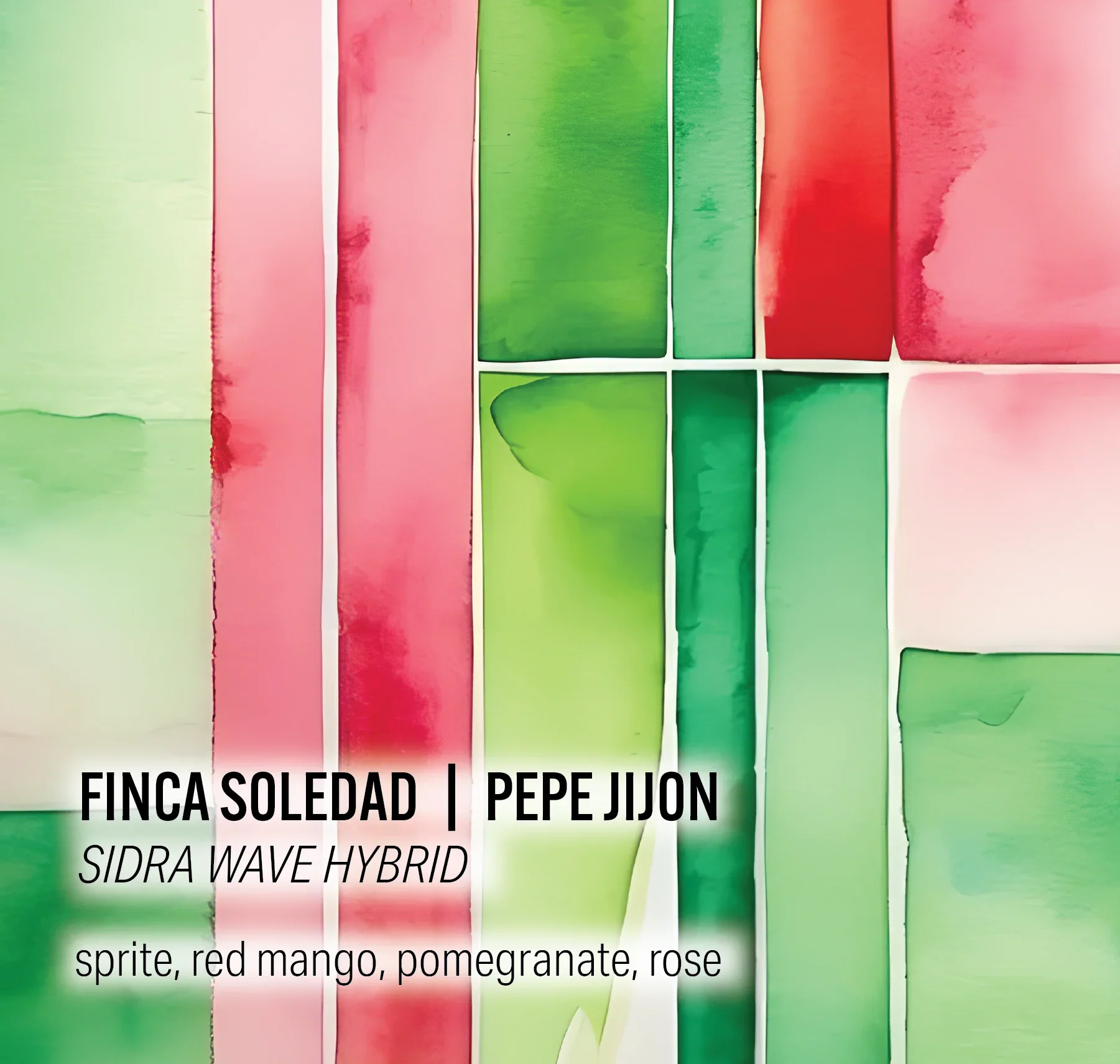 Moonwake - Pepe Jijon, Finca Soledad - Sidra Wave Hybrid - Ecuador