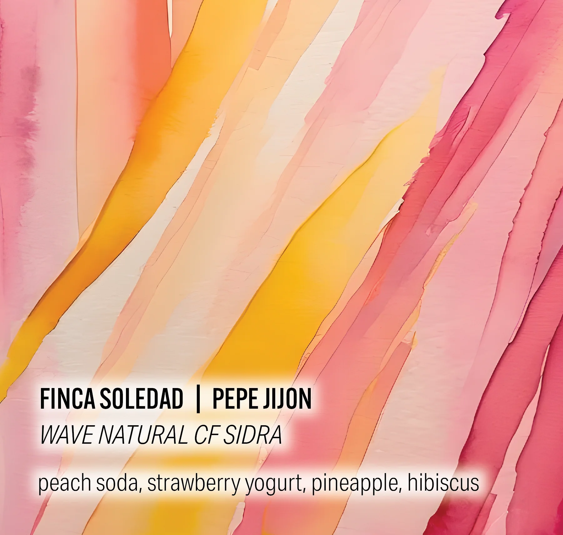 Moonwake - Pepe Jijon Finca Soledad - Wave Natural CF Sidra | Ecuador