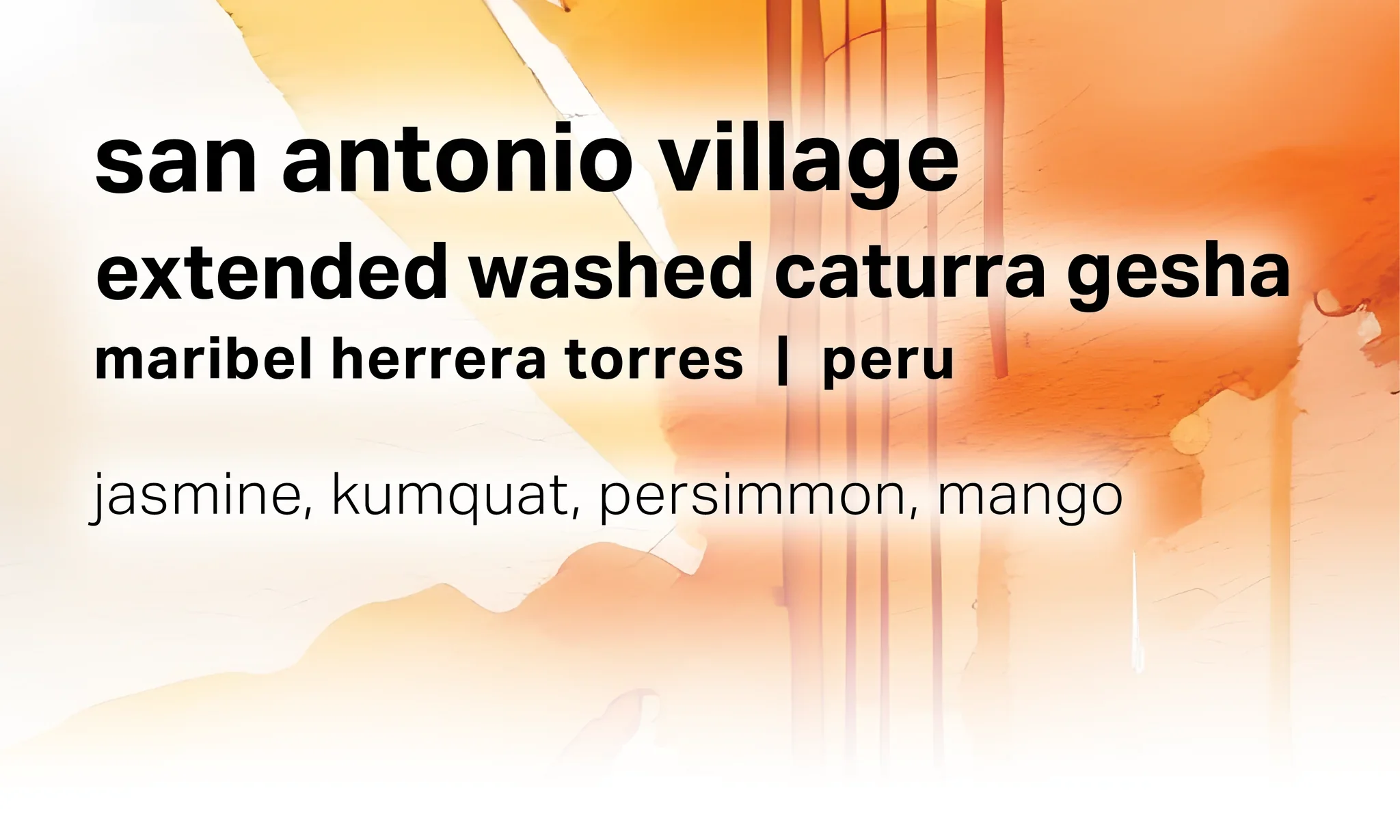 Moonwake - San Antonio Village - Extended Washed Caturra Gesha | Peru