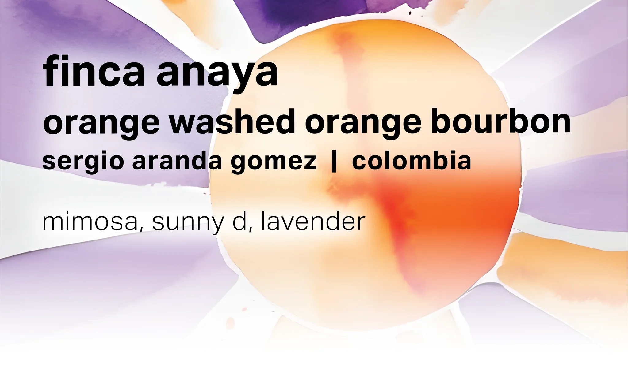 Moonwake - Sergio Aranda Gomez Finca Anaya - Orange Washed, Orange Bourbon | Colombia