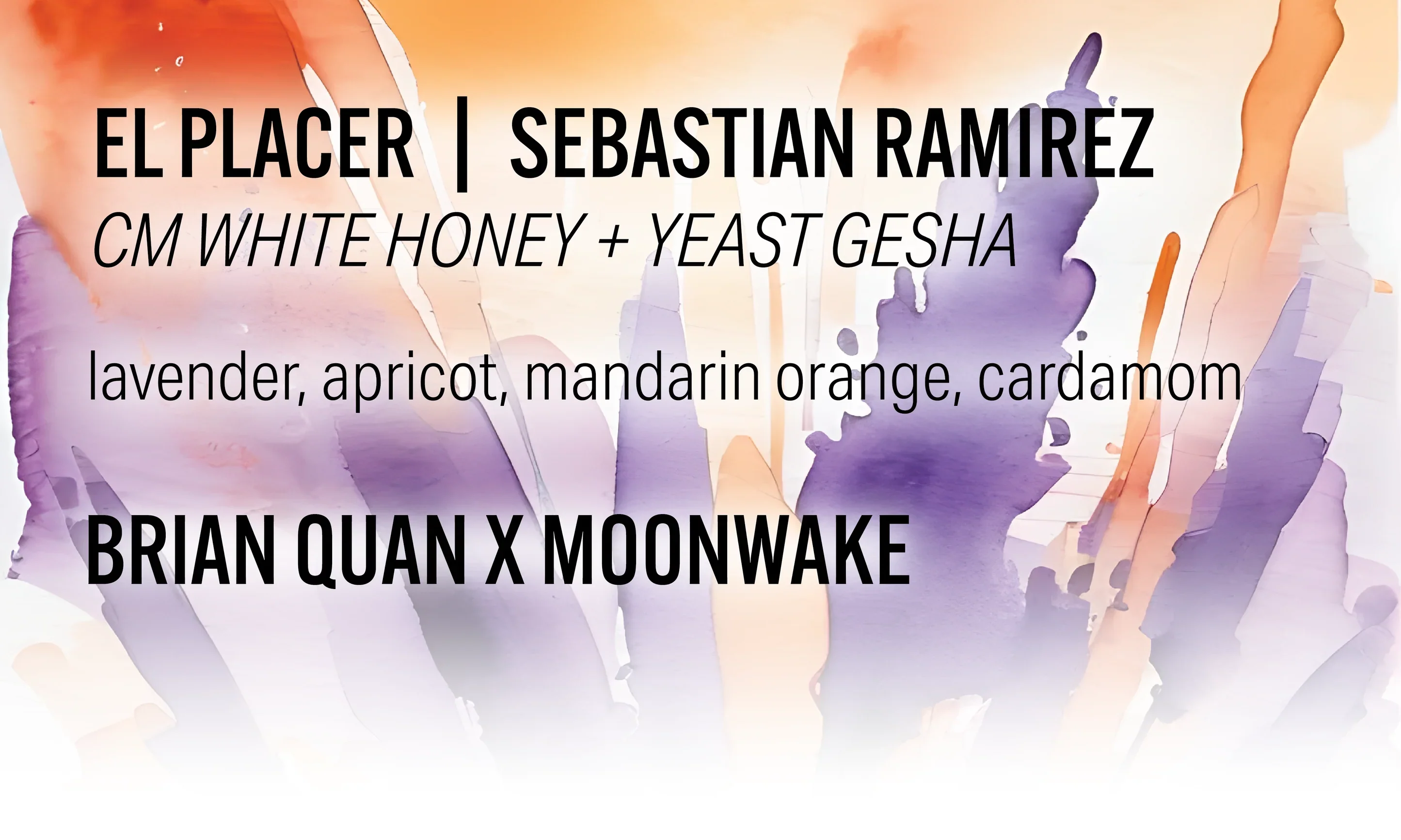 Moonwake - Sebastian Ramirez El Placer - CM White Honey + Yeast Gesha - Brian Quan Collab