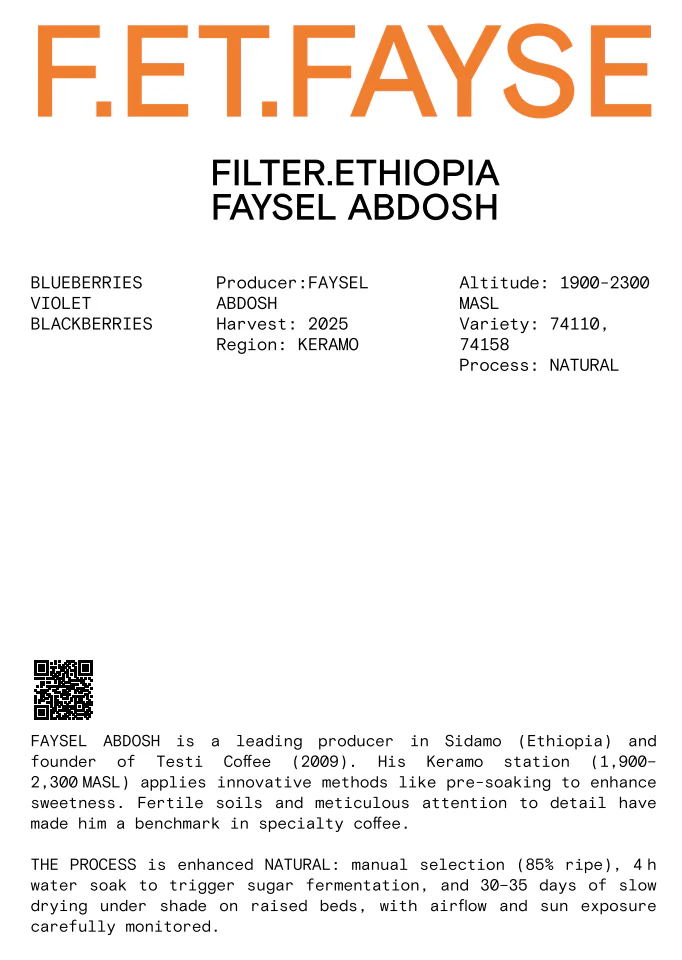 Nomad - Filter, Ethiopia - Natural 74110, 74158 - Faysel Abdosh - Image 2