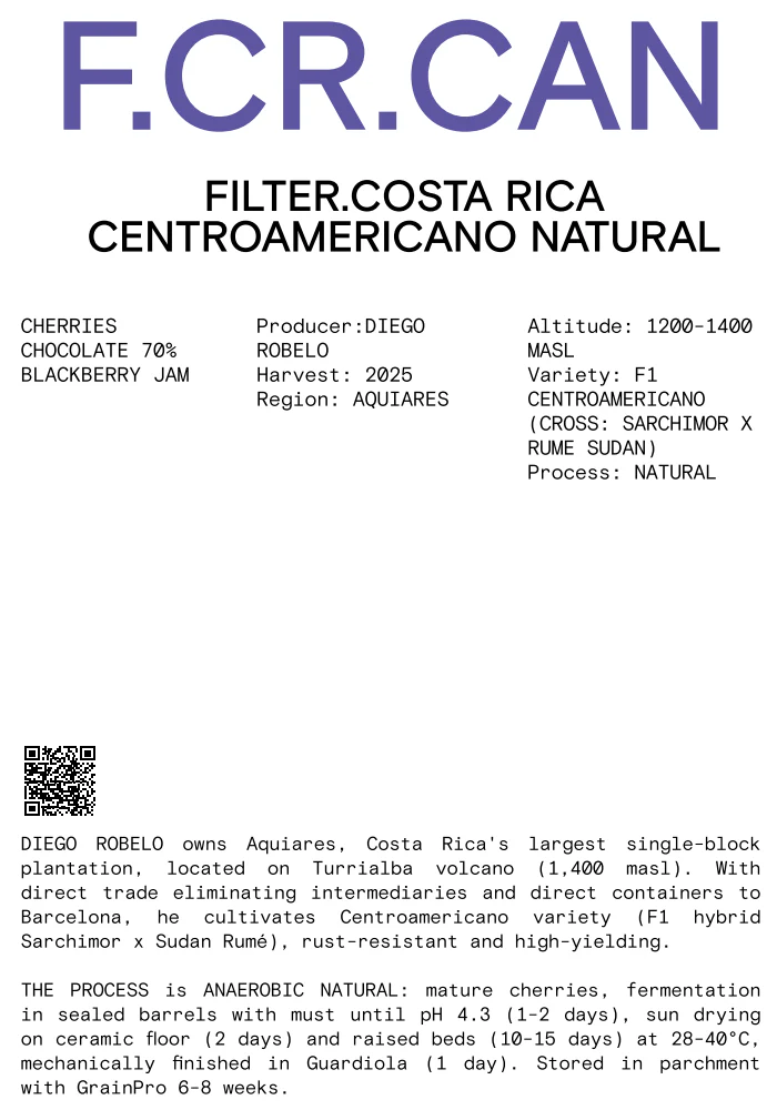 Nomad - Filter - F1 CentroAmericano, Natural Anaerobic - Costa Rica - Image 2