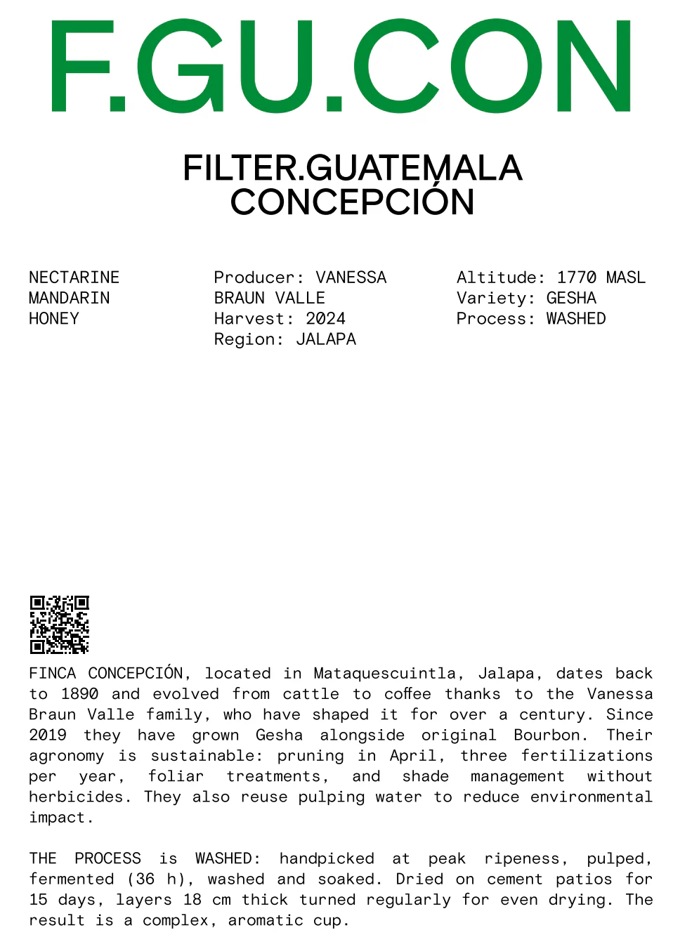 Nomad - Filter, Guatemala, Finca Conceptión - Washed Gesha - Image 2