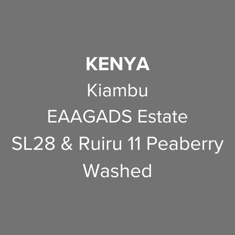 OMA - EAAGADS Estate, SL28 & Ruiru 11 Peaberry Washed TOP | Kenya