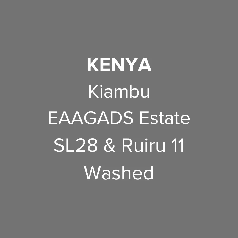 OMA - EAAGADS Estate, SL28 & Ruiru 11 Washed AA TOP | Kenya