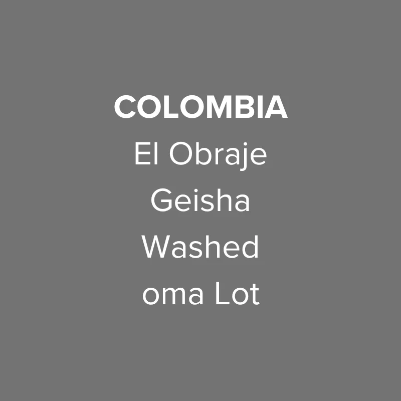 OMA - El Obraje, Geisha Washed Oma Lot | Colombia