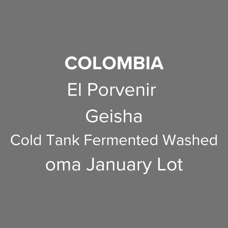OMA - El Porvenir, Geisha Cold Tank Fermented Washed | Colombia