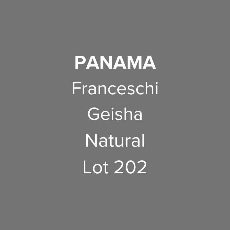 OMA - Franceschi, Geisha Natural Lot GN202 | Panama