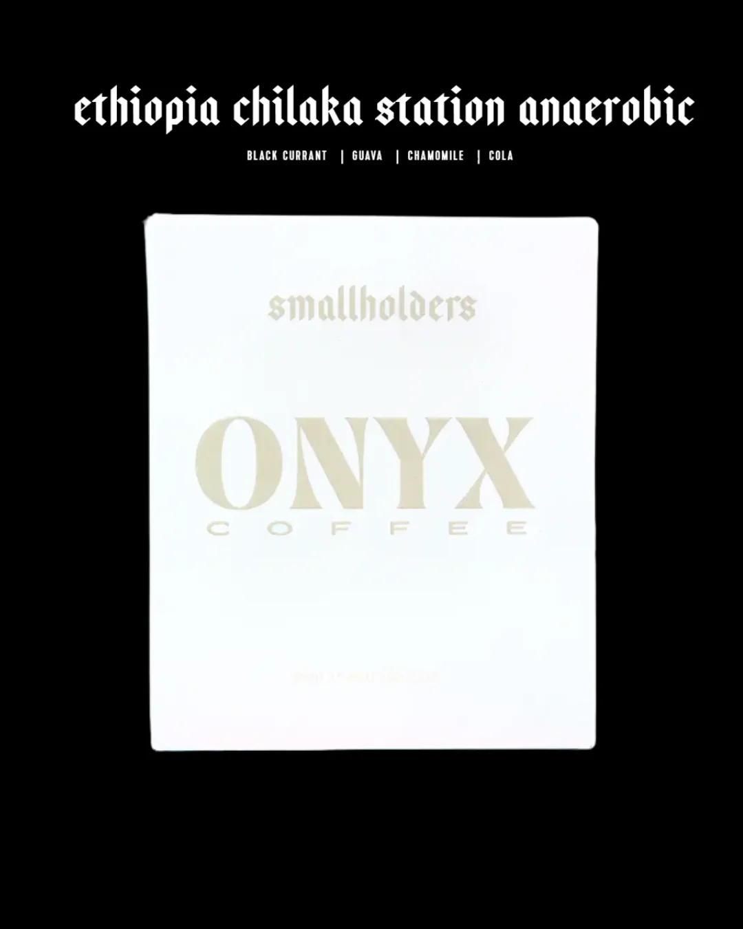 Onyx - Ethiopia - Chilaka Station Anaerobic
