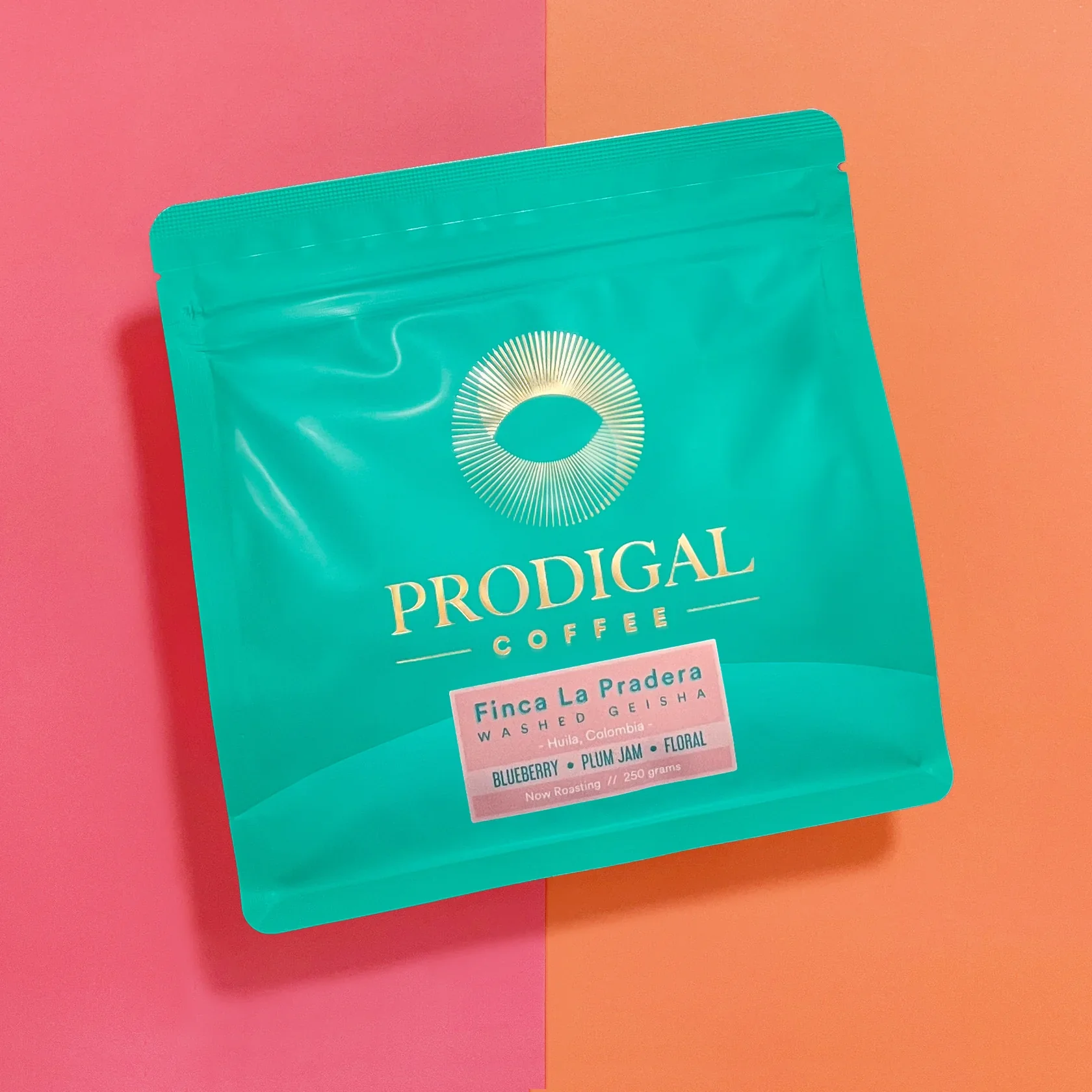 Prodigal - Finca La Pradera - Washed Gesha | Colombia