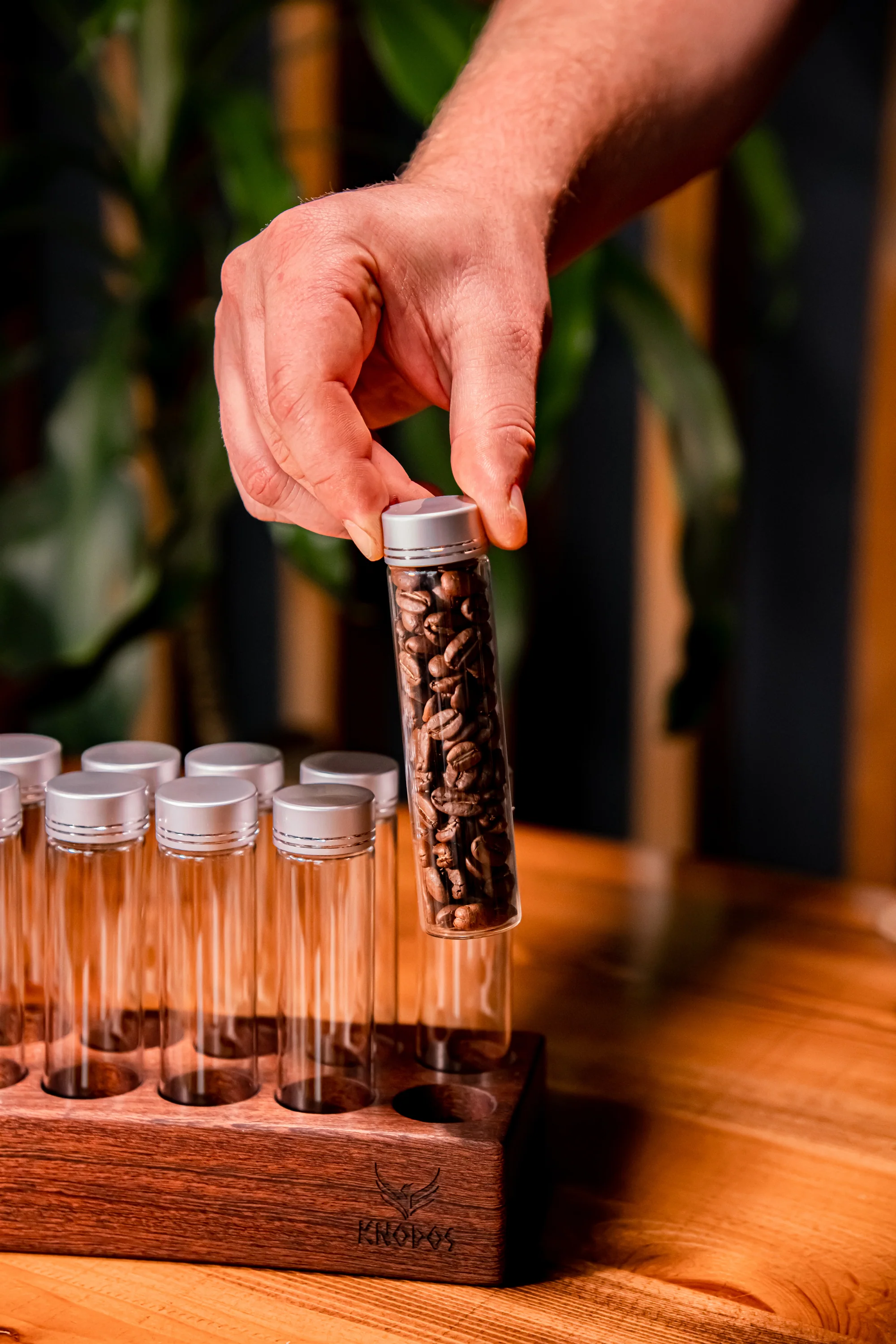 Knodos Single Dose Bean Cellar with Wooden Display Rack - Image 3