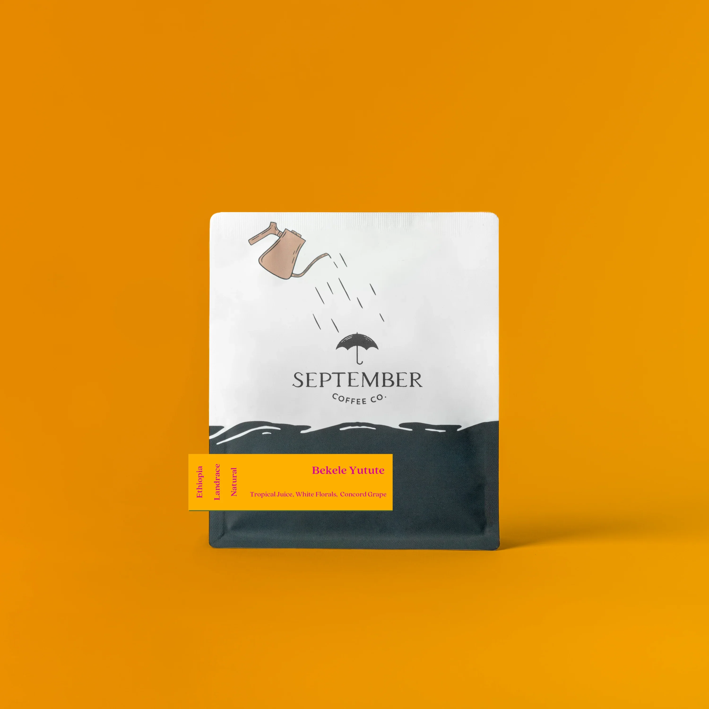 September - Bekele Yutute, Natural Landrace | Ethiopia
