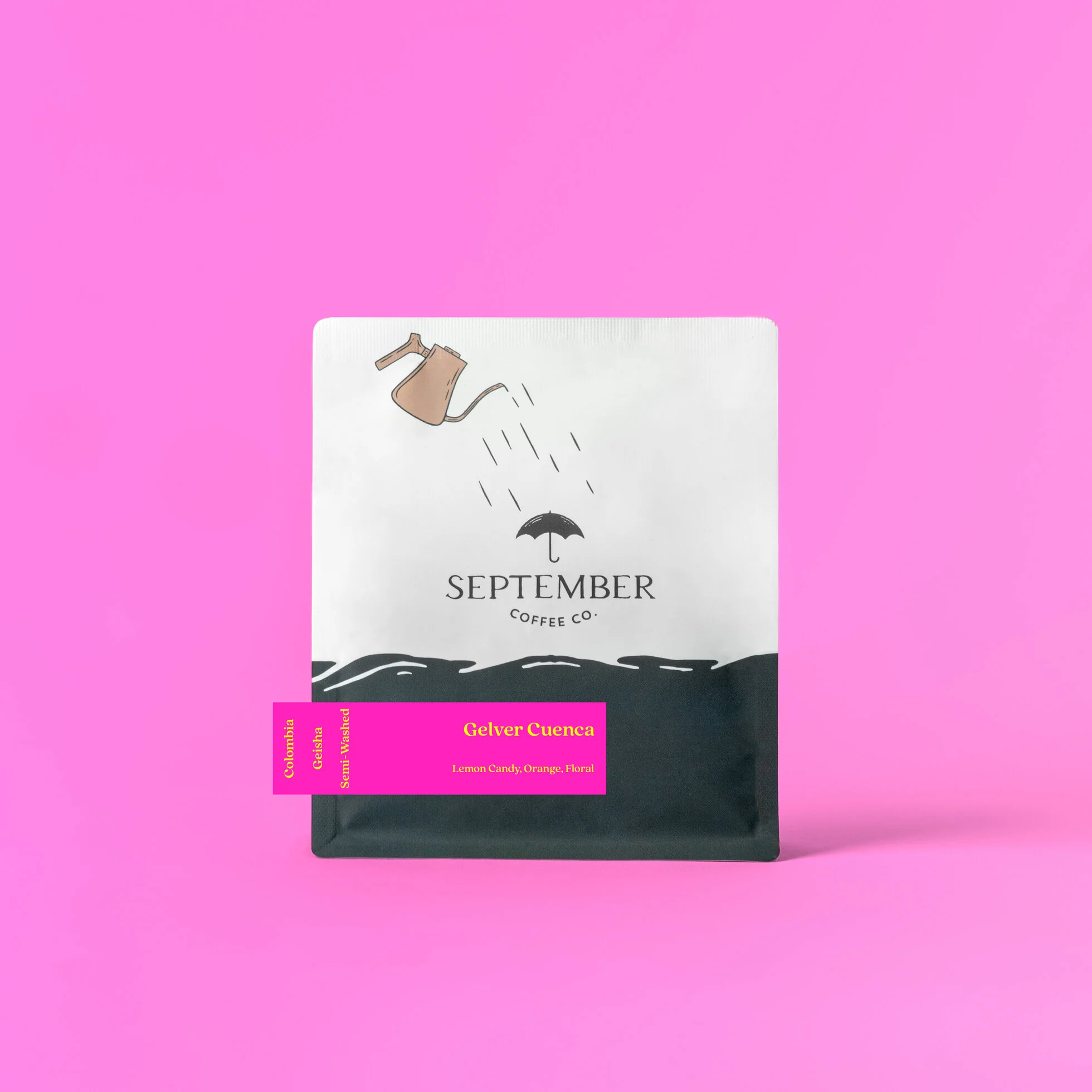 September - Gelver Cuenca Semi-Washed Gesha | Colombia