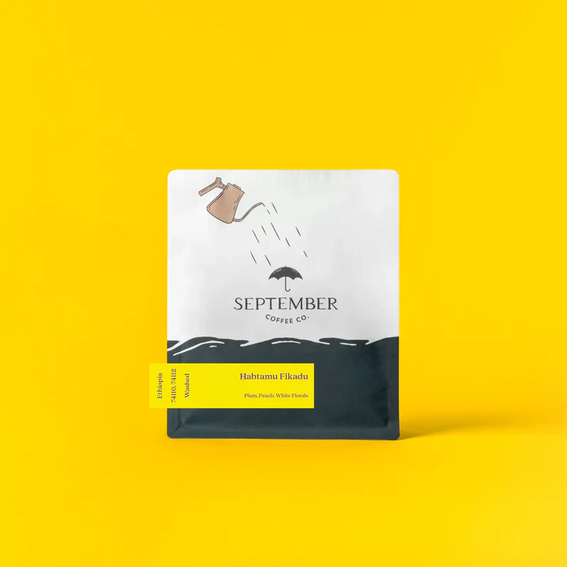 September - Habtamu Fikadu Washed | Ethiopia