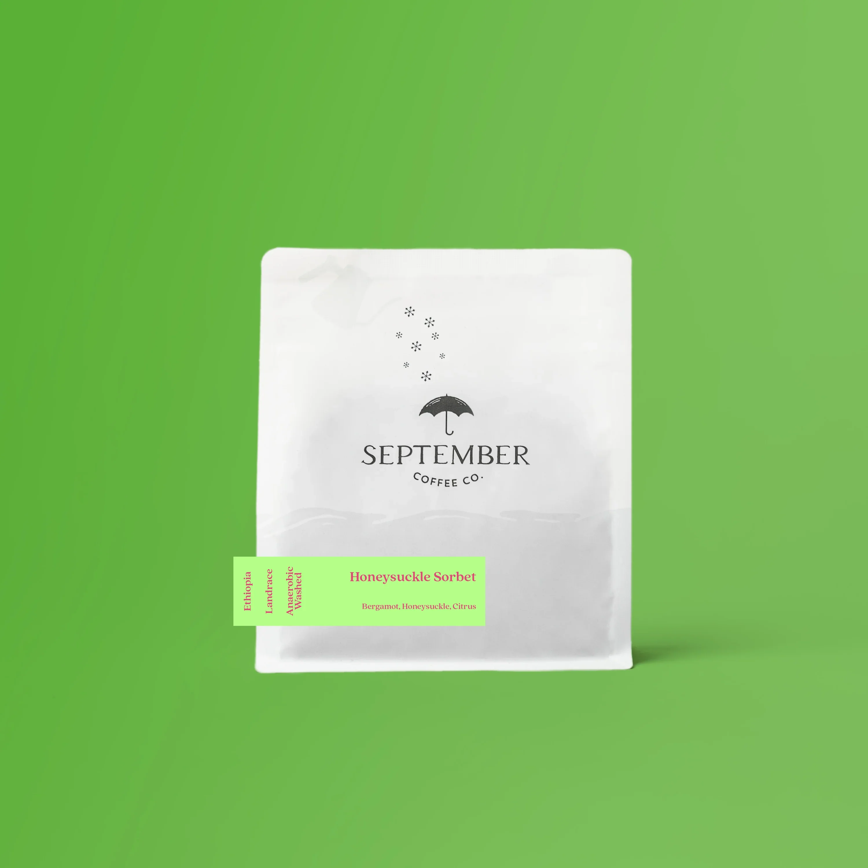 September - Honeysuckle Sorbet | Ethiopia
