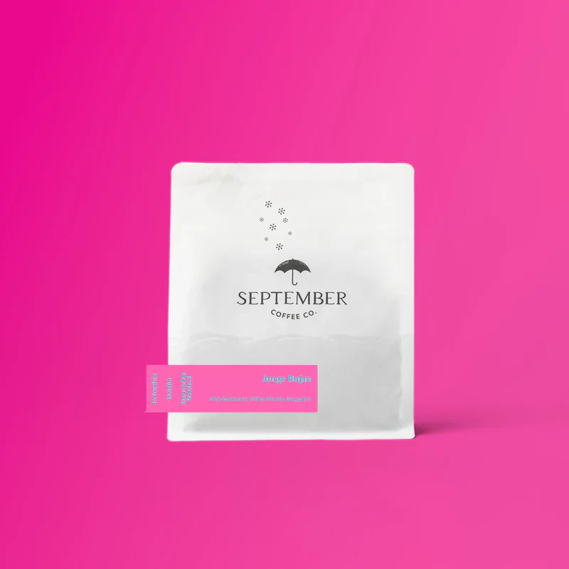 September - Jorge Rojas - Anaerobic Washed Gesha