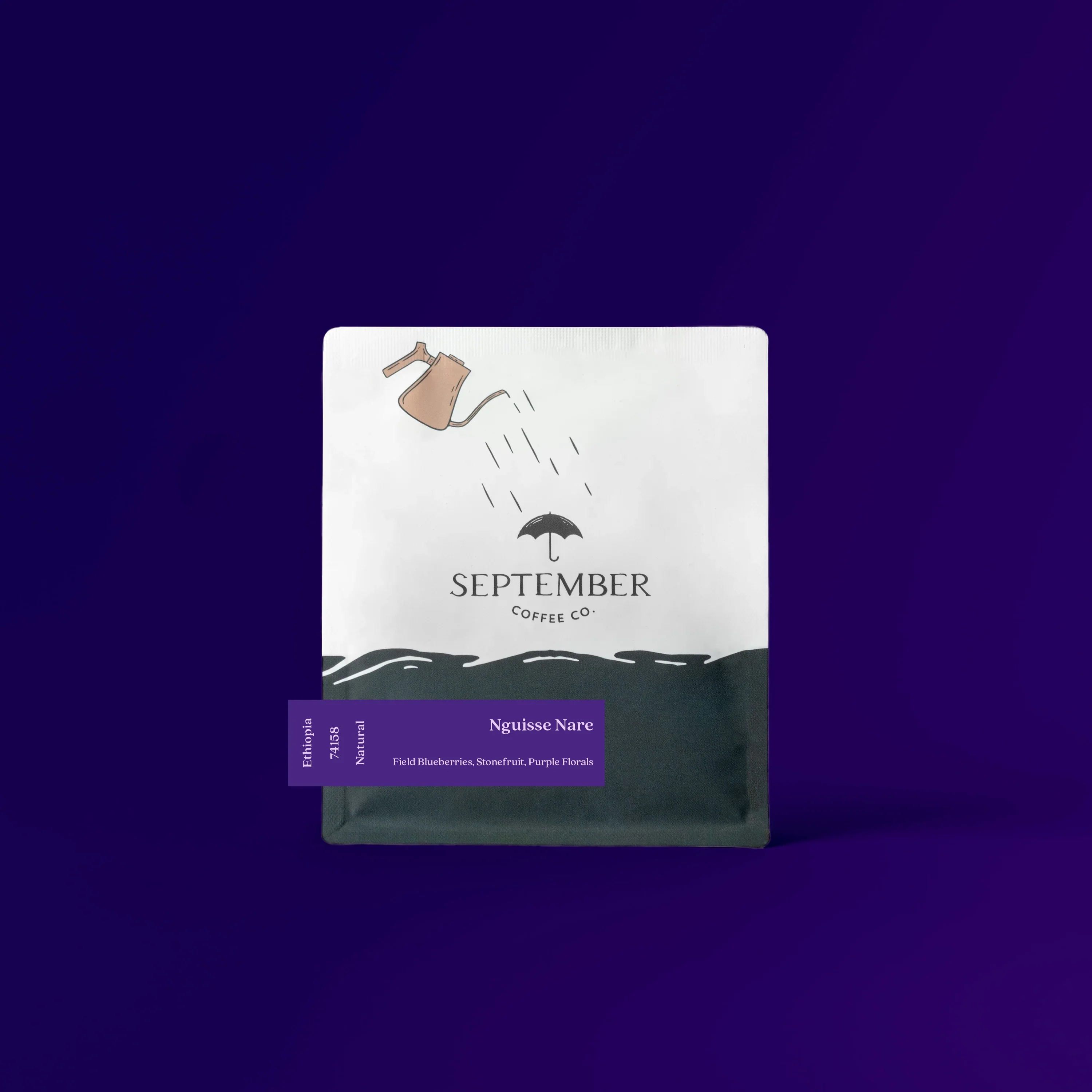 September - Nguisse Nare, Natural JARC 74158 | Ethiopia