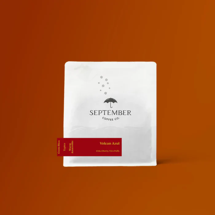 September - Volcan Azul - Typica, Warm Anaerobic
