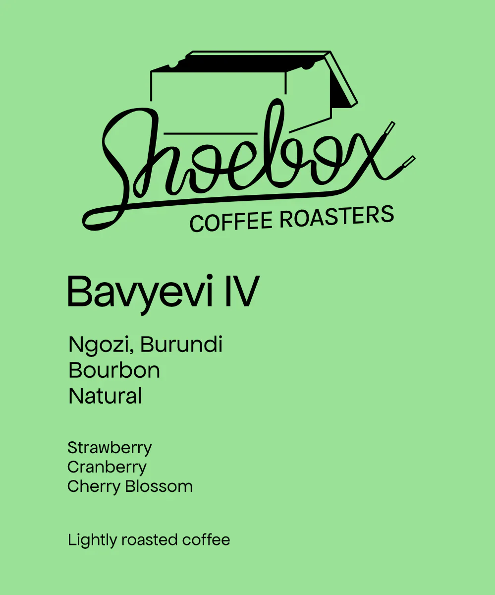 Shoebox Coffee Roasters - Bavyevi IV - Natural | Burundi