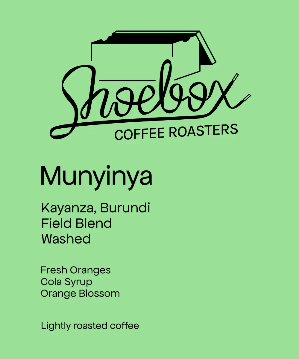 Shoebox - Burundi Munyinya Hill Washed