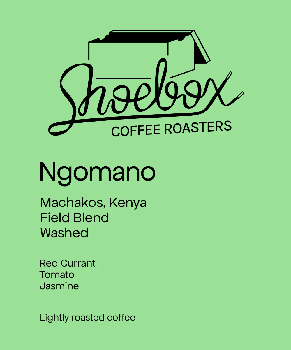 Shoebox - Kenya Ngomano Washed