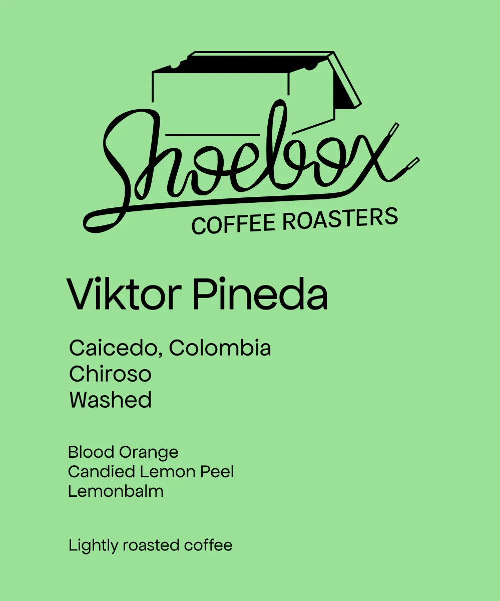 Shoebox Coffee Roasters - Viktor Pineda - Washed Chiroso | Colombia