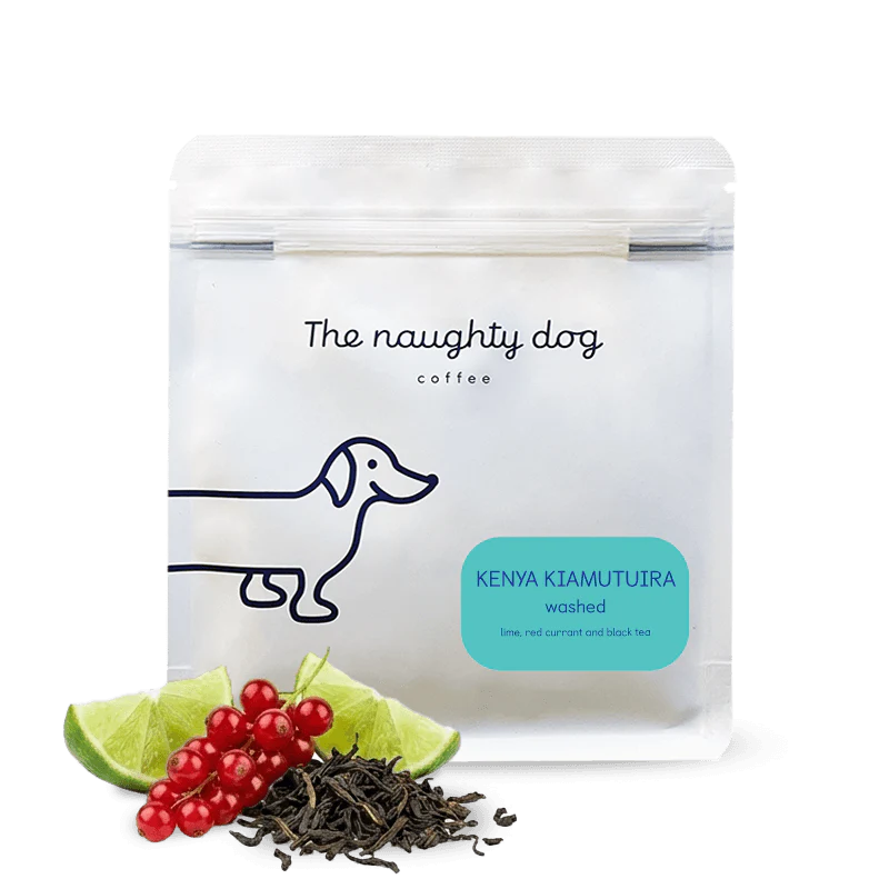 The Naughty Dog - Kenya Kiamutuira - Washed | Kenya