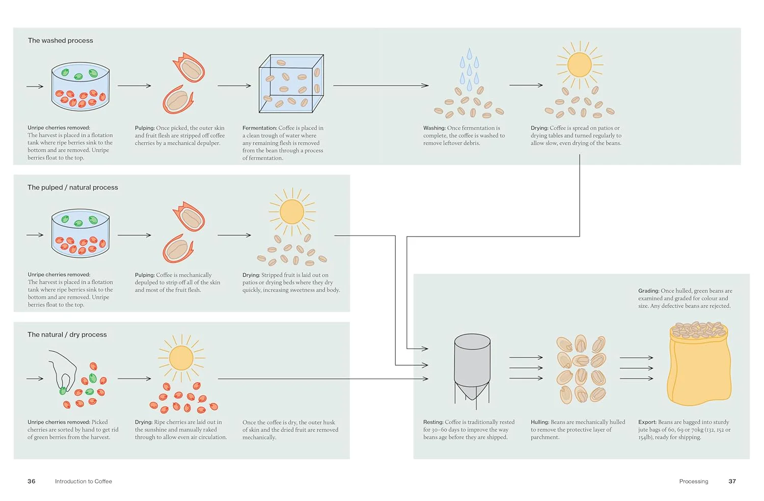 The World Atlas of Coffee 3rd Edition | James Hoffmann - Image 6