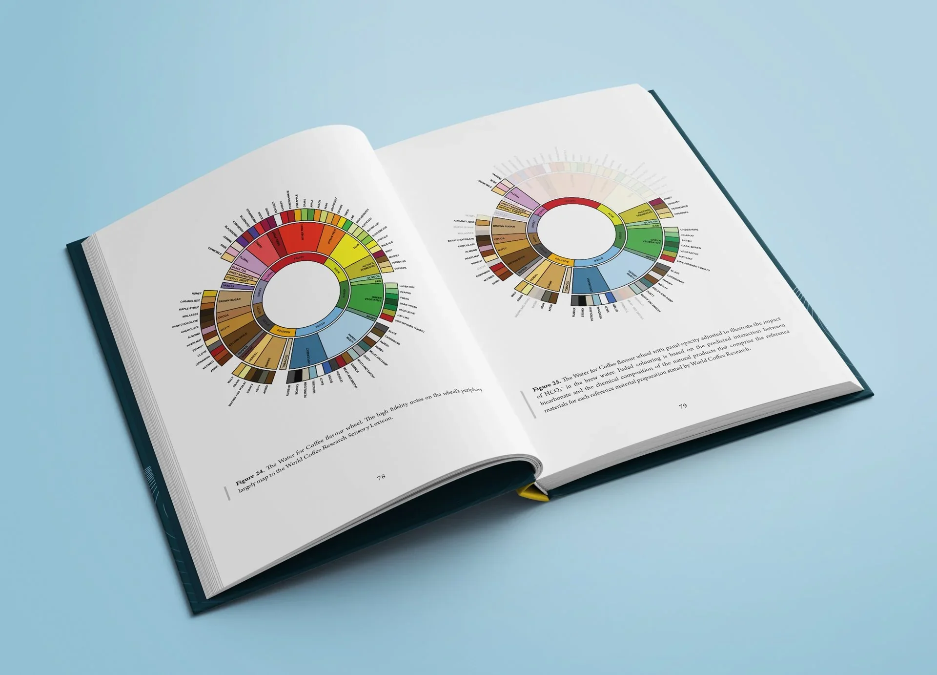 Water for Coffee (2nd Edition) | Max Dashwood & Chris H. Hendon - Image 3